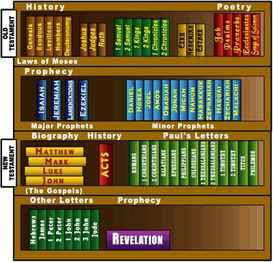 Bible Bookcase New Testament